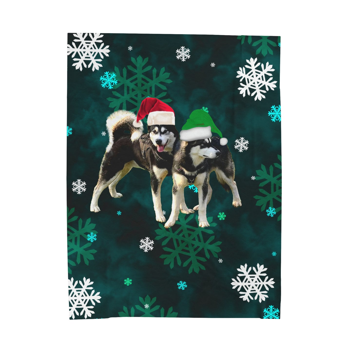 Christmas Malamute Velveteen Plush Blanket
