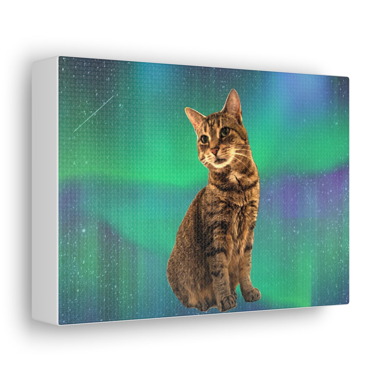 Canvas Gallery Wraps